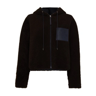 Shop Loewe Shearling Hooded Jacket In Brown_navy_blue