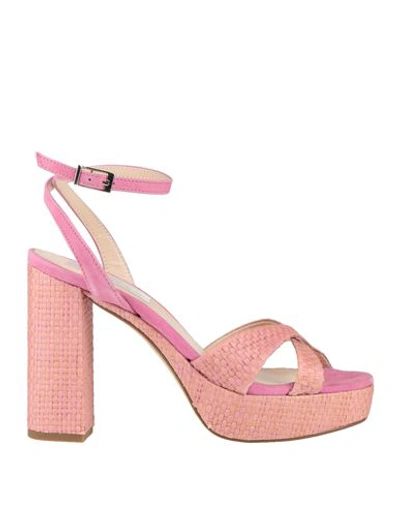 Shop Marian Woman Sandals Pink Size 8 Soft Leather, Textile Fibers