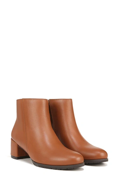 Shop Naturalizer Bay Waterproof Bootie In Cider Spice Brown Leather