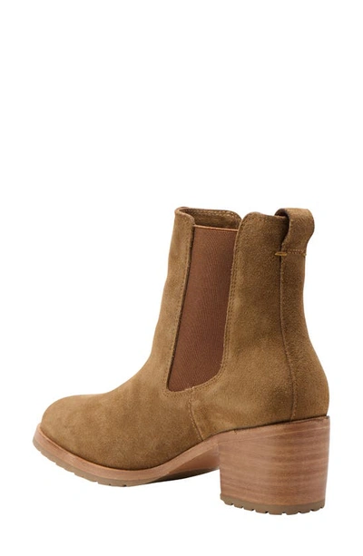 Shop Nisolo Ana Go-to Chelsea Boot In Taupe