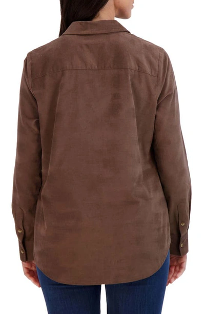 Shop Foxcroft Haven Corduroy Button-up Shirt In Brown