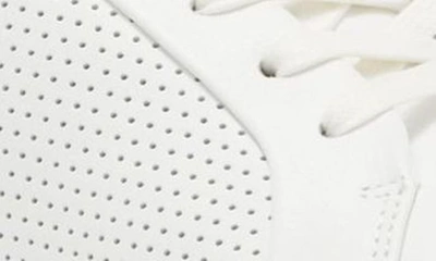 Shop Official Program Court Low Top Sneaker In White/ Dark Grey