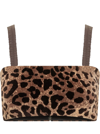 Shop Dolce & Gabbana Leopard Jacquard Chenille Cropped Top In Multi