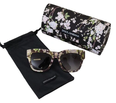 Pre-owned Dolce & Gabbana Dolce&gabbana Dg 4231f Women Multicolor Sunglasses Acetate Floral Print Eyewears In Black