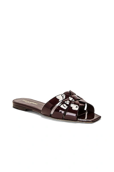 Saint Laurent Tribute Tortoiseshell-effect Slides In Barolo