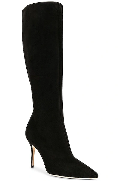 Manolo Blahnik Oculara 90 Suede Knee-high Boots In Black