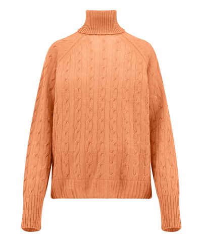 Shop Etro Roll-neck Sweater In Orange
