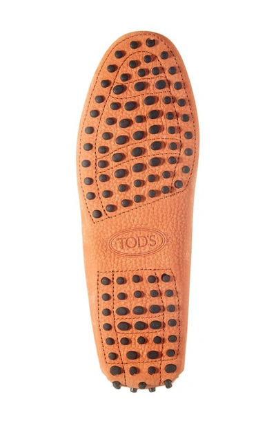 Shop Tod's Gommini Driving Shoe In Dark Orange