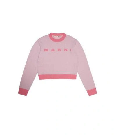 Shop Marni Sweatshirt With Colour-block Design In Pink