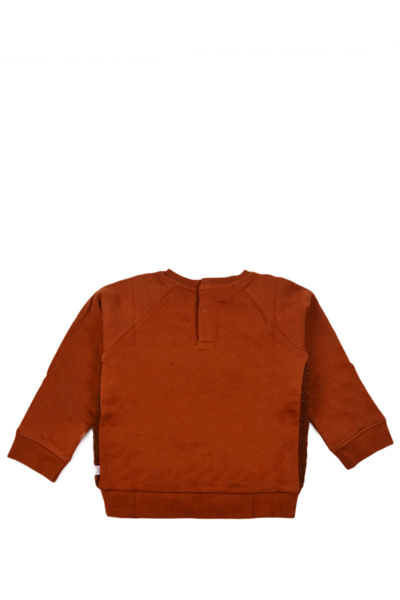 Shop Stella Mccartney Cotton Sweatshirt In Brown