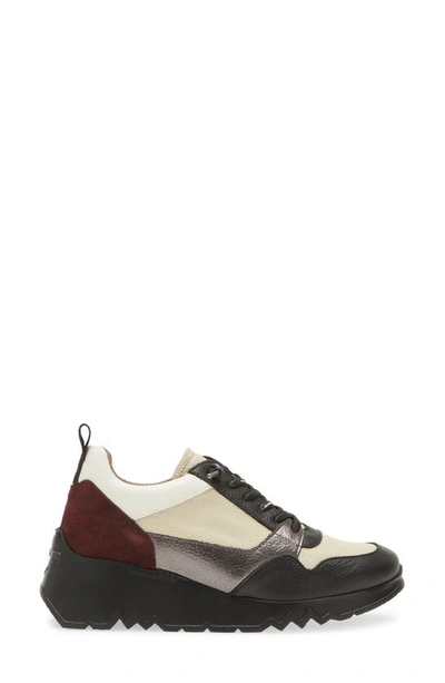 Wonders Colorblock Platform Sneaker In Black Cream Combo