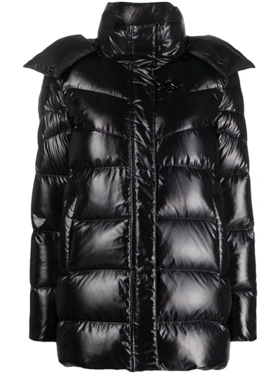 Shop Fay Padded Hooded Jacket In Black
