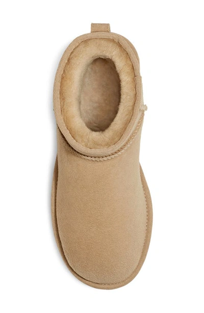 Ugg Classic Mini Ii Mustard Seed Boots In Mustard Seed
