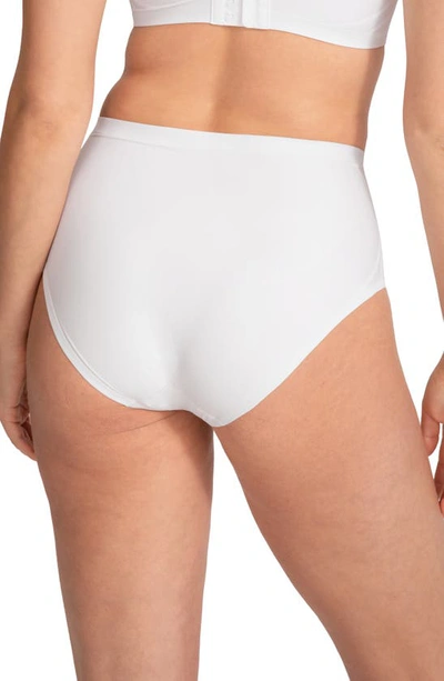 Honeylove Silhouette Shaping Briefs In Astral