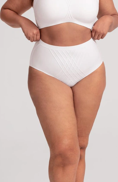 Honeylove Silhouette Shaping Briefs In Astral