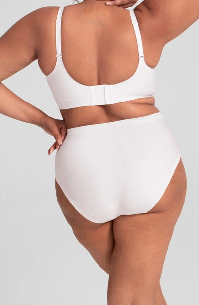 Honeylove Silhouette Shaping Briefs In Astral