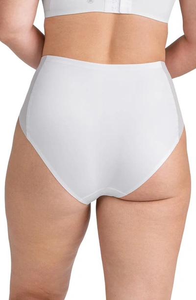 Honeylove Crossover Briefs In Astral
