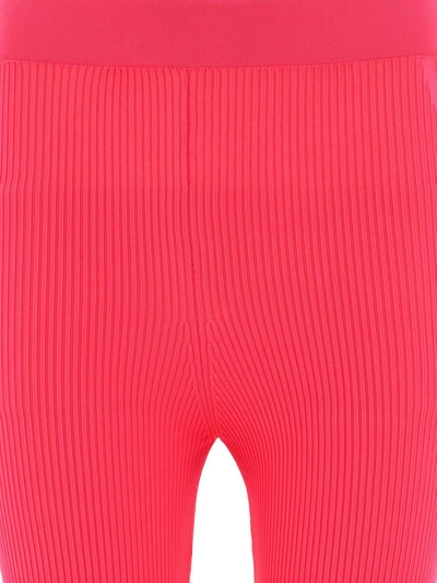 Shop Jacquemus "le Short Lucca" Shorts In Pink