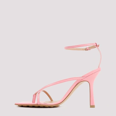 Shop Bottega Veneta Stretch Strap Sandal Shoes In Pink &amp; Purple