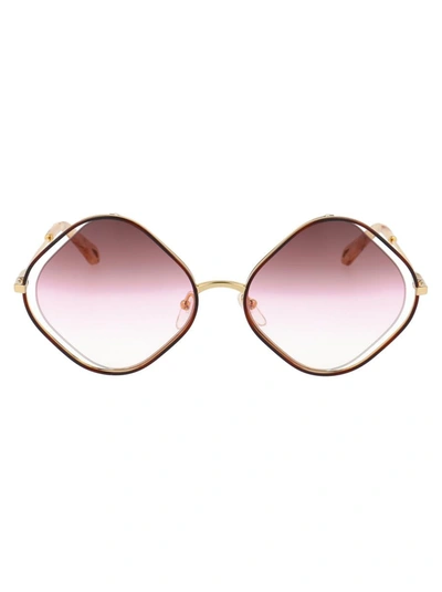 Shop Chloé Chloe Sunglasses In 865 Havana/brown