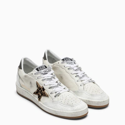 Shop Golden Goose Deluxe Brand Cream/animalier Ball Star Sneakers In White