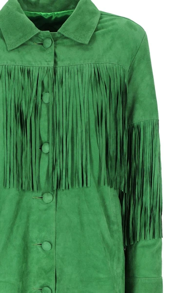 Shop Dancassab Jackets In Green