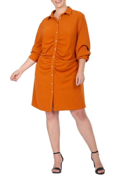 Shop Standards & Practices Ruched Shirtdress In Henna Brown