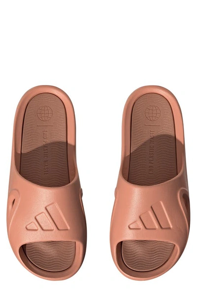 Shop Adidas Originals Adicane Slide Sandal In Wonder Clay/ Clay Strata