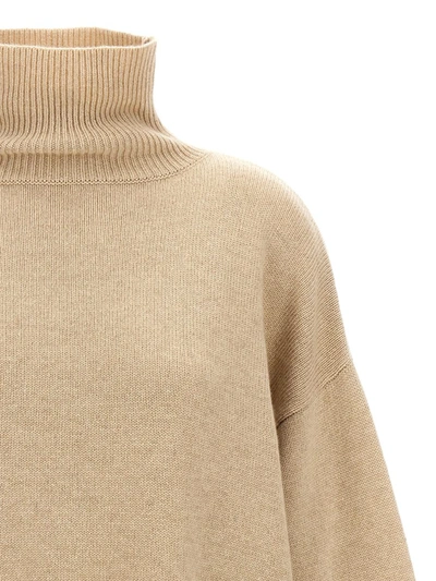Isabel Marant Beige Aspen Turtleneck In Beige