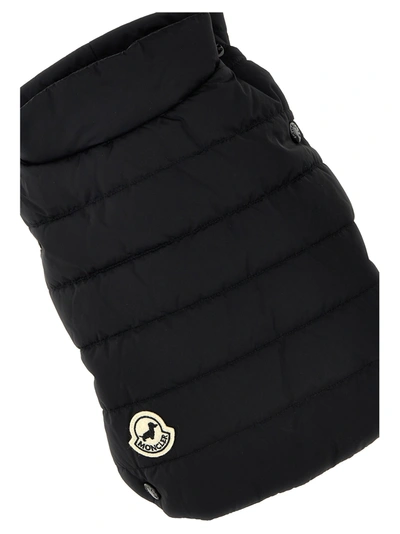Shop Moncler Genius X Poldo Padded Vest Pets Accesories Black