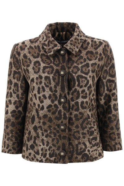 Shop Dolce & Gabbana Wool Jacquard Bolero Jacket With Leopard Motif In Beige, Brown, Black