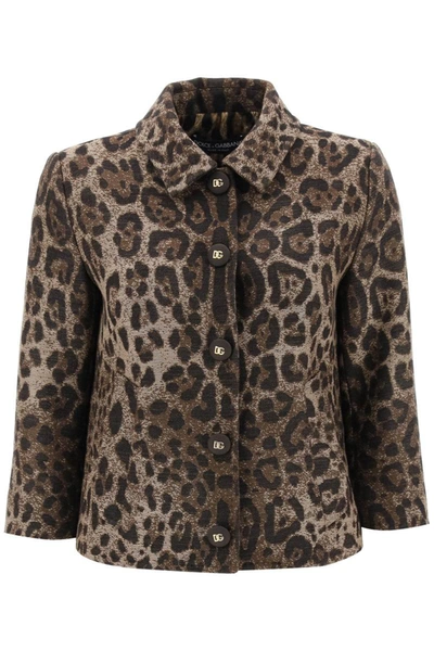 Shop Dolce & Gabbana Wool Jacquard Bolero Jacket With Leopard Motif In Multicolor