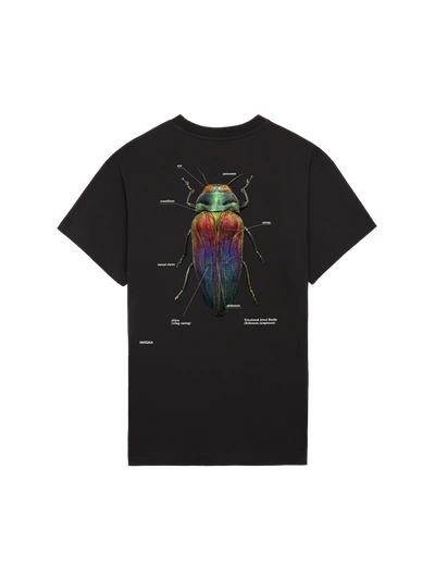 Shop Pangaia X Levon Biss Tricolored Jewel Beetle T-shirt — Black L