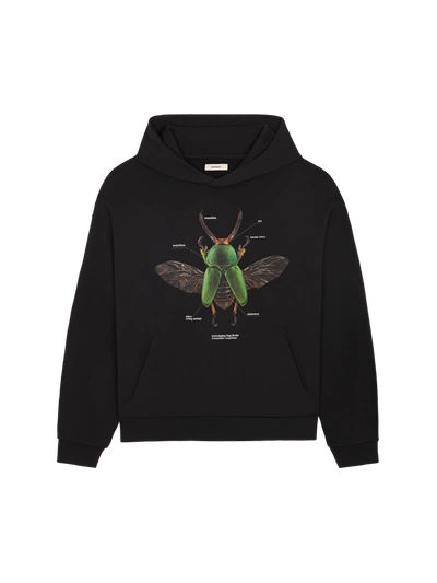 Shop Pangaia X Levon Biss Sawtooth Beetle Hoodie — Black Xs