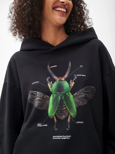 Shop Pangaia X Levon Biss Sawtooth Beetle Hoodie — Black Xs