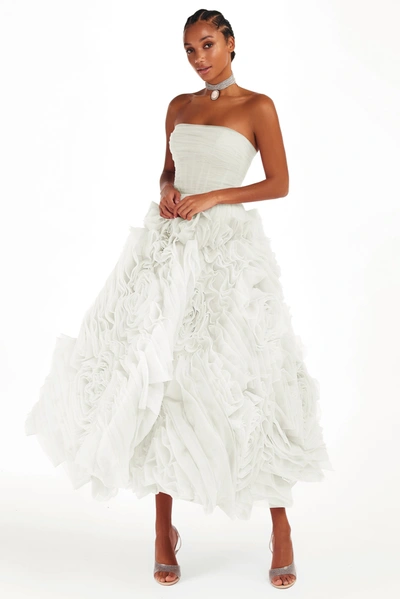 Milla Dramatically Flowered Tulle Dress In White In White