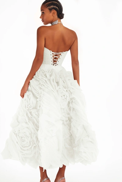 Milla Dramatically Flowered Tulle Dress In White In White