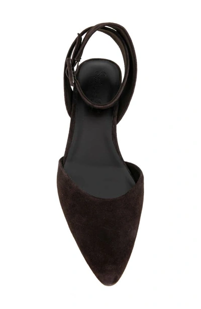 Shop Splendid Lisetta Pointed Toe Ankle Wrap Pump In Dark Chocolate