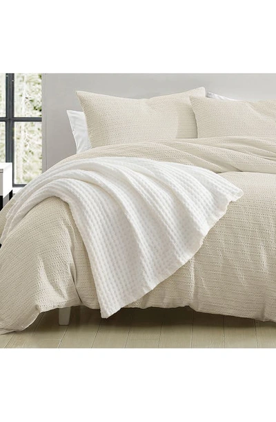 Shop Dkny Waffle Cotton Throw Blanket In White
