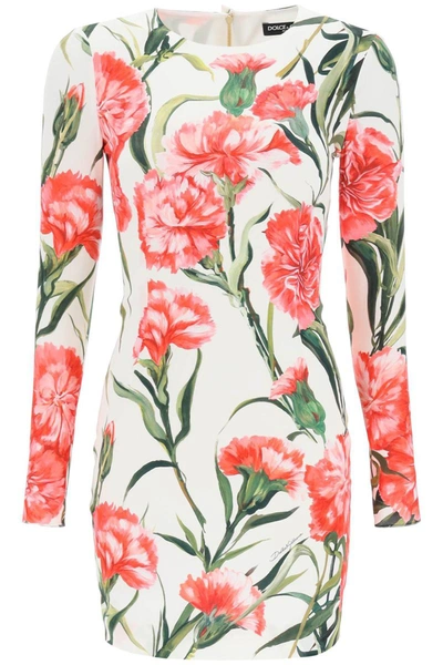 Shop Dolce & Gabbana Long-sleeved Sheath Dress Carnation Print In Multicolor