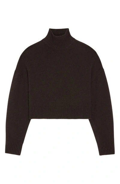 Shop Theory Crop Cashmere Turtleneck Sweater In Mink