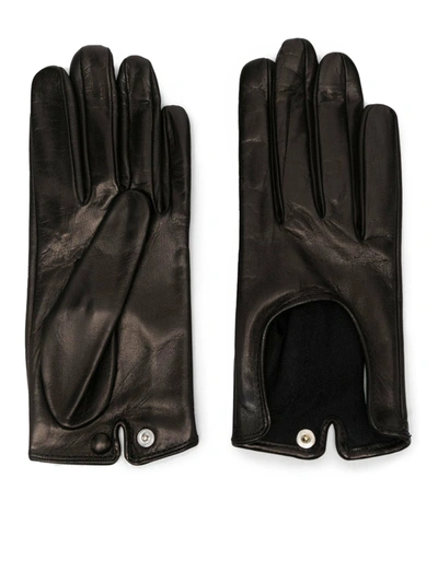 Shop Durazzi Milano Calfskin Gloves With Press Buttons Closure In Black