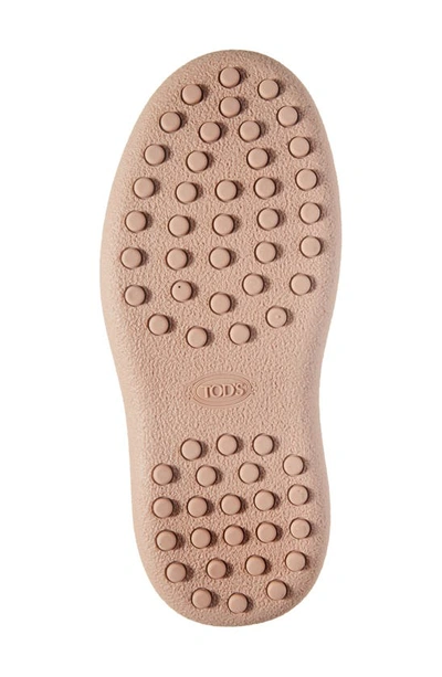 Tod's Stivaletto Stringato Suede Ankle Boots In Lingerie/ Beige Rose