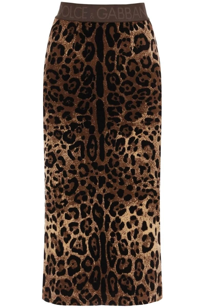 Shop Dolce & Gabbana Leopard Chenille Pencil Skirt In Multicolor