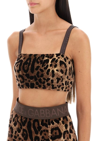 Shop Dolce & Gabbana Leopard Chenille Cropped Top In Multicolor