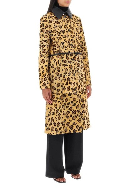 Shop Saks Potts 'ginger' Leopard Motif Ponyskin Coat In Multicolor