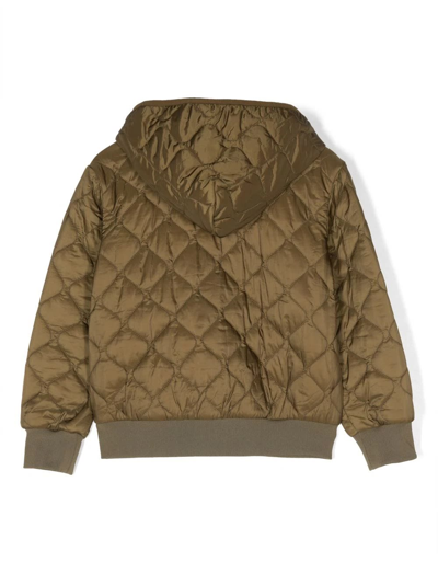 Shop Moschino Khaki Green Quilted Bomber Jacket With Teddy Bear Patch In Verde