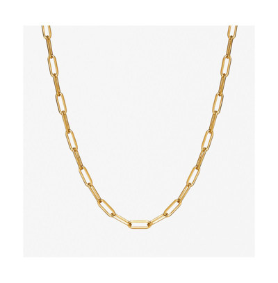 Shop Ana Luisa Link Chain Necklace In Gold