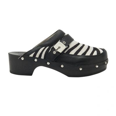 Shop Scholl Pescura Clog 50 Shoes In 1851 Zebra