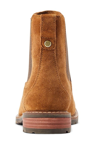 Shop Ariat Wexford Waterproof Chelsea Boot In Chestnut